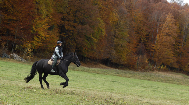 Horseriding for more experienced riders