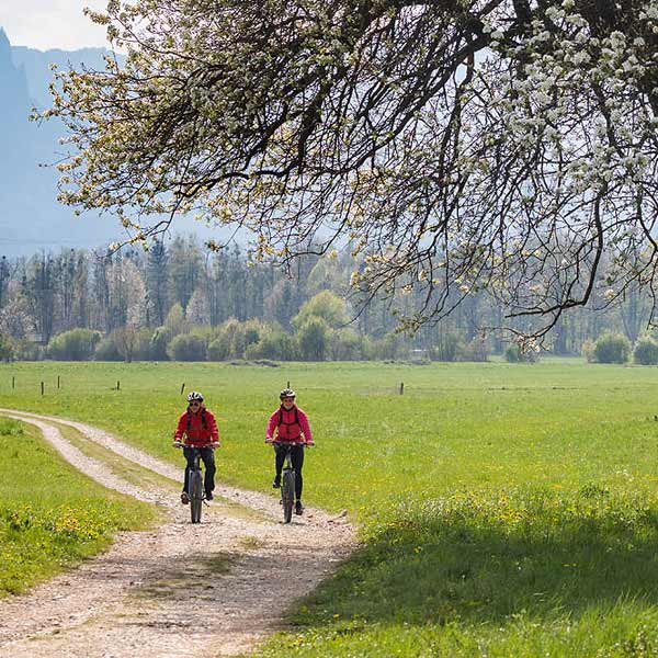 Die Umgebung von Radovljica lädt zum Verweilen in der Natur ein