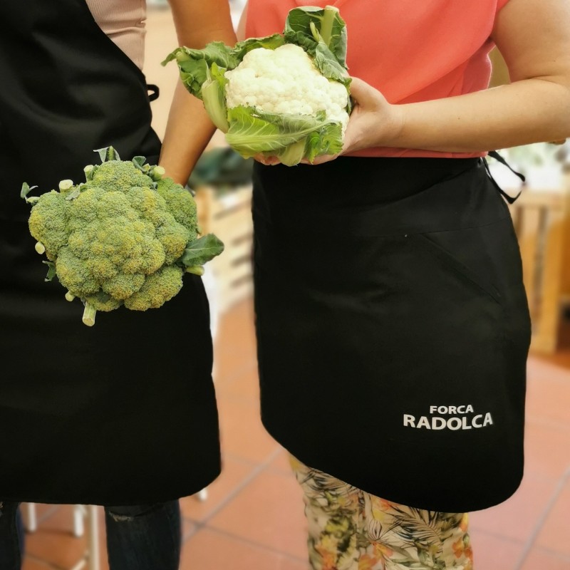 Mali predpasnik Forca Radolca