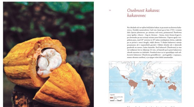 Andraž Briški Javor: Uživanje v čokoladi