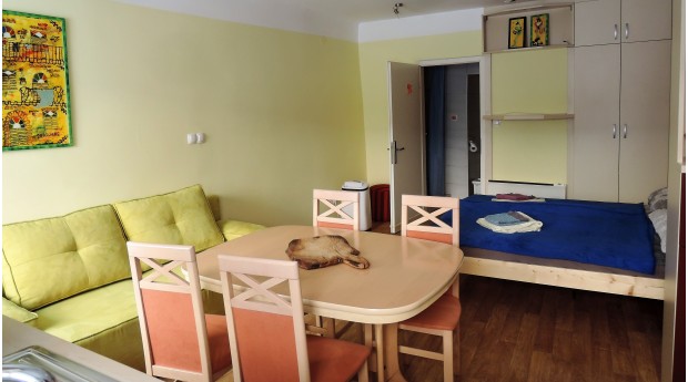 Studio Lotrist, Radovljica