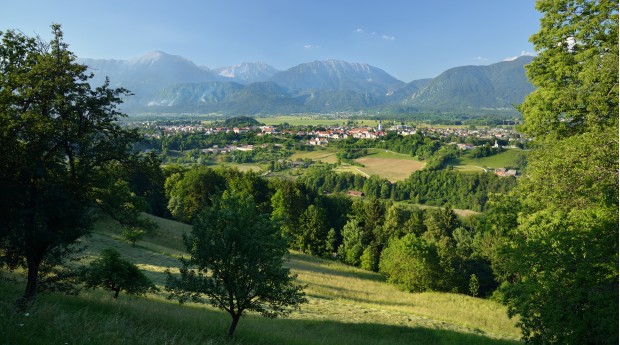 Radovljiška ravnina