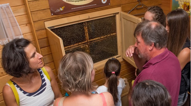 A visit to the centre's apiary