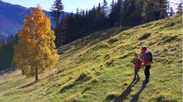 Planina Planinca