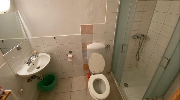 Apartmaji Vidičev dvorec kopalnica