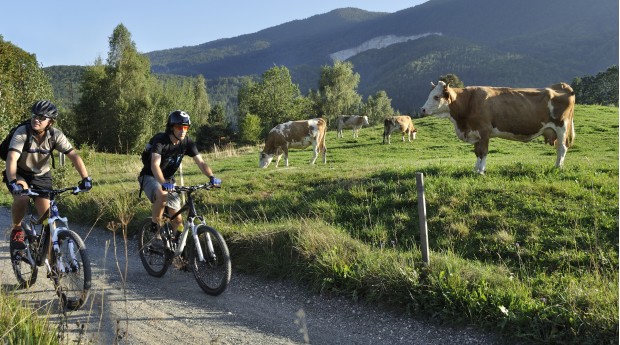 Cycling among nature