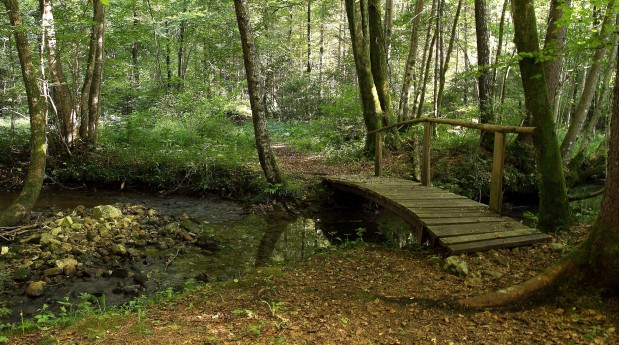 The Grabnarca Waterside Nature Trail