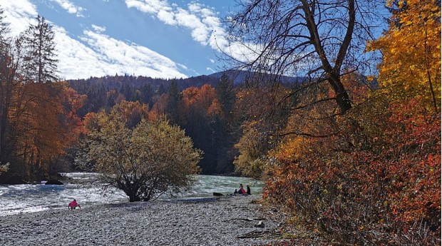 Jesen ob reki Savi