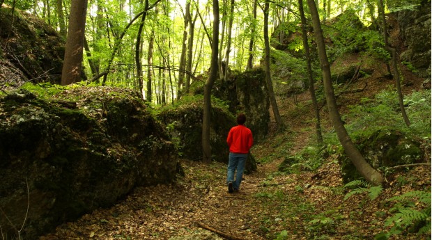 The Lipnica Castle Trail
