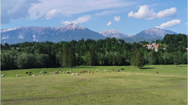 Pašniki ob Savi Bohinjki, pot Radovljica-Bled-Radovljica