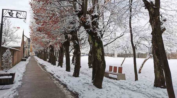 Radovljiški park z drevoredom in lučmi