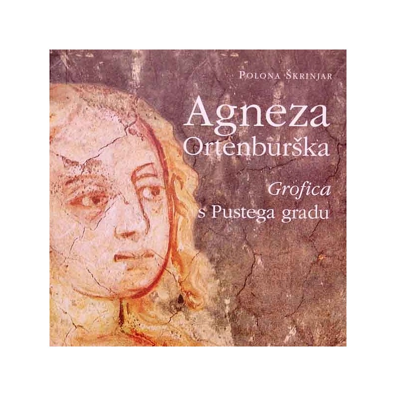 Agneza Ortenburška, Grofica s Pustega gradu