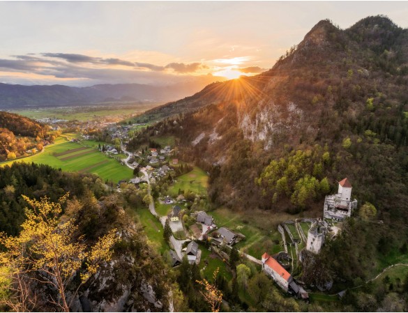 What to do in Radovljica?