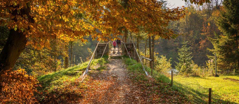 Most v Radovljici Jeseni