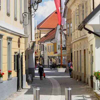 Ogled znamenitosti Radovljice