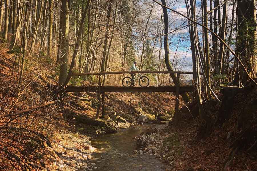network of off-road cycling trails through Radovljica and its surroundings