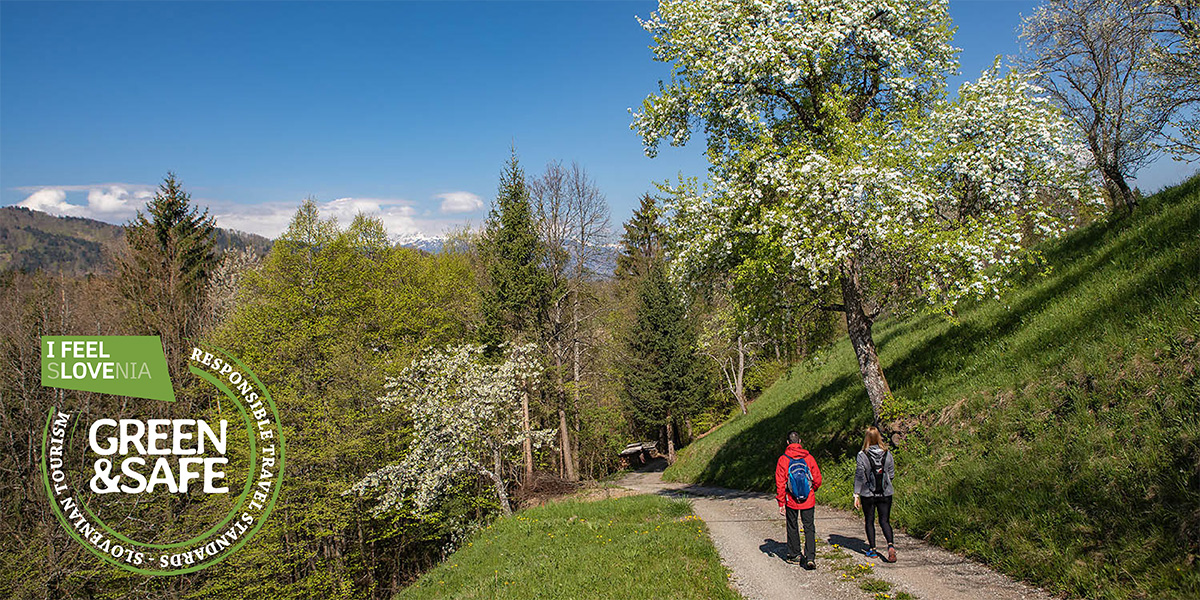 Radovljica: green&safe