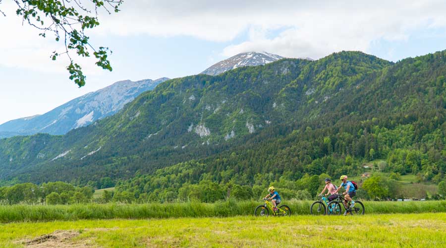 Set off from the Radovljica or Lesce railway station on a circular family cycle route