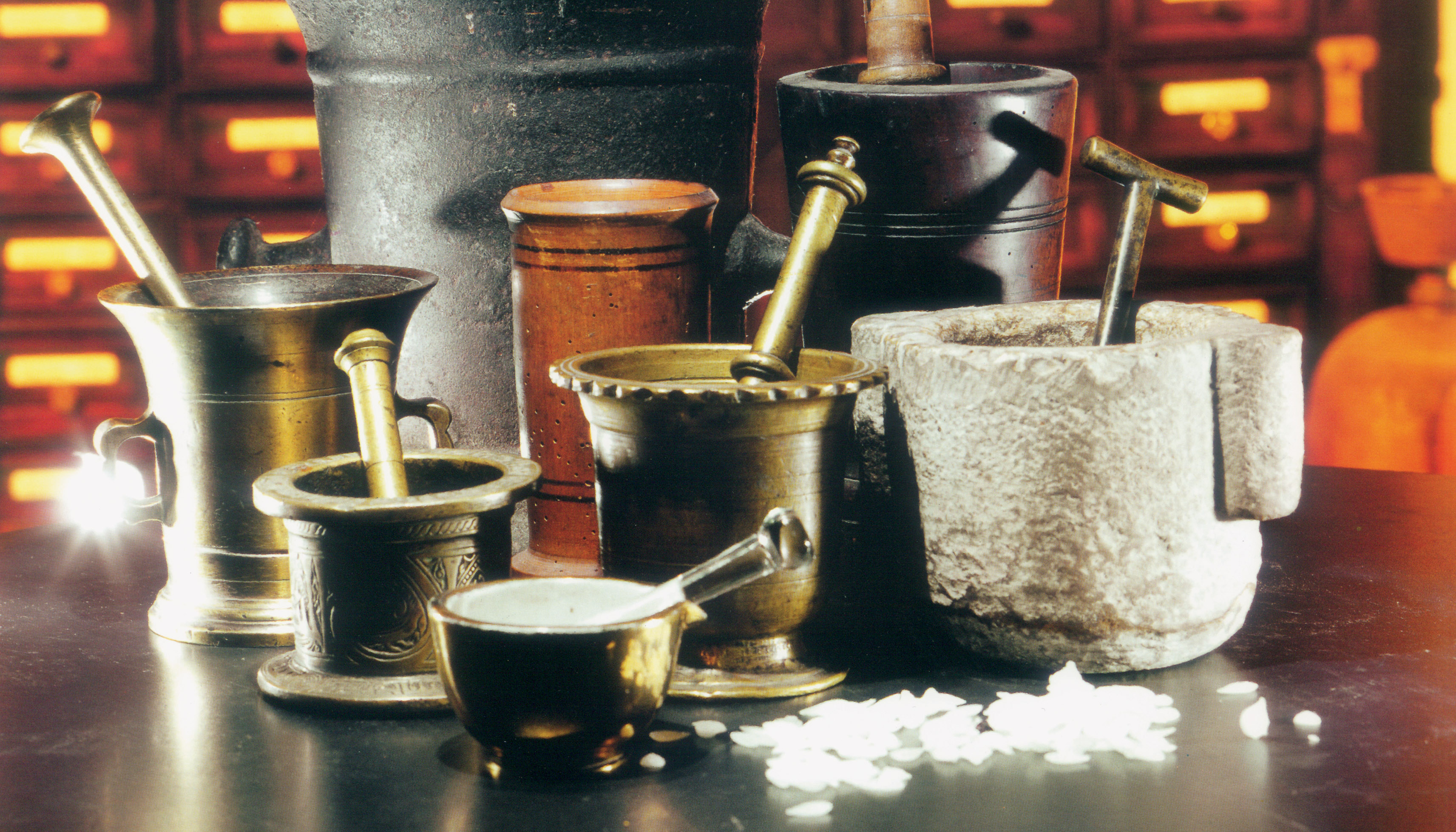 Izbor možnarjev iz Lekarniškega in alkimističnega muzeja Radovljica